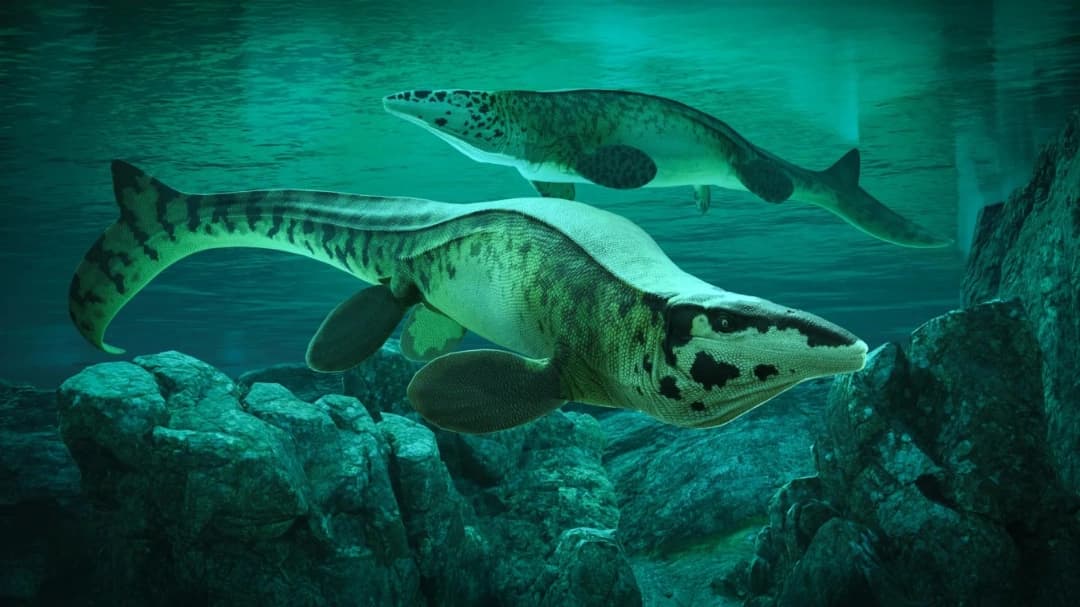 Tylosaurus rex : The T-Rex of the Seas, Newly Named